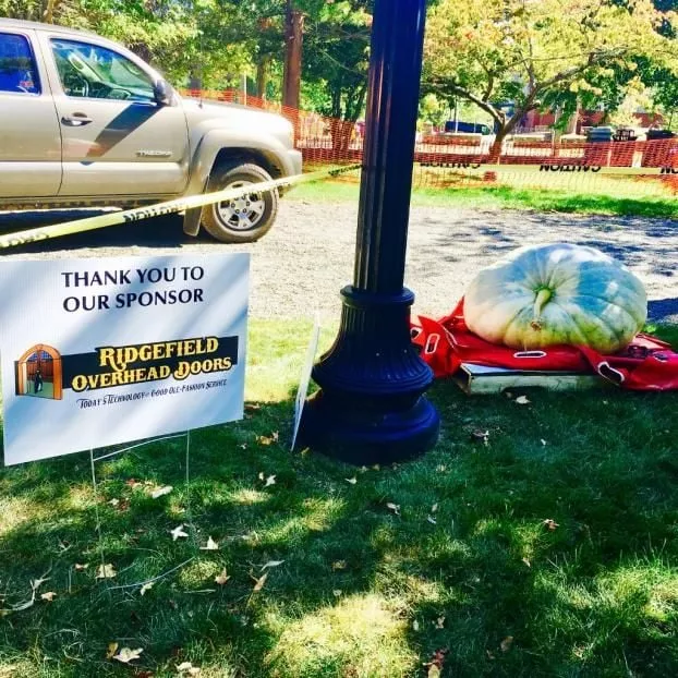 Ridgefield's Giant Pumpkin Weigh Off 2016